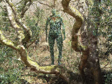 Oldmanofthewoods3