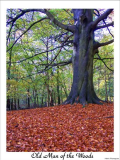 Green Man