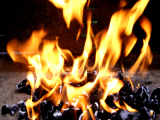 bbq