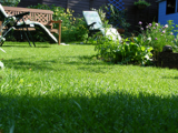 lawn