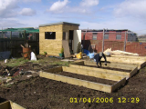 The shed