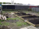 Raised Beds