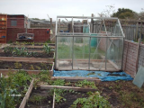 Green house