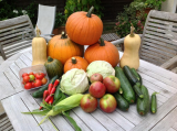 Harvest 2013