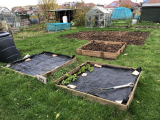 Plot 1