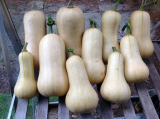 Good harvest 2013