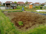 Plot 25 2011