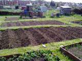 Plot 24 2011