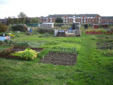 Plot 24
