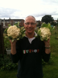 Caulis