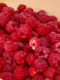 Raspberry harvest