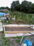 First Bed