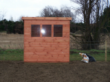 my new shed