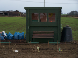 My shed painted