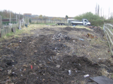 My Allotment 2