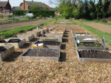 Bark chippings 