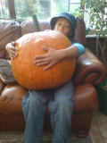 Pumpkin