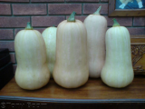 Butternuts