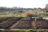 Lazy raised beds