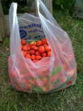 Strawberries