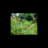Walk gravel path to vegetable garden