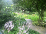 little bridge path