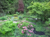 Pond beds
