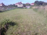 Grassy knoll