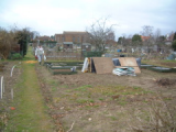 Raised Beds - Stage 3
