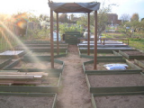 Raised Beds & Pergola 3