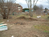 Bare Bones