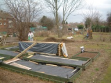 Raised Beds - Stage 1