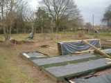 Raised Beds - Stage 2