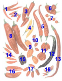 Know your heat!