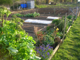 The Border L-bed