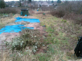 Before - 19th Feb 09