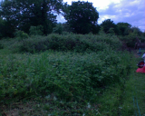 may 08 pic 2