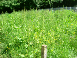 plot 23