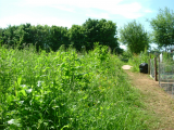 plot23