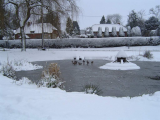 Village Pond Feb 2009
