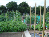 Aug 2008