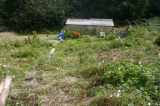 july 2008