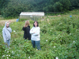 july 2008