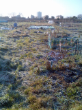 view from front jan 09
