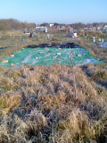 view from back jan 09