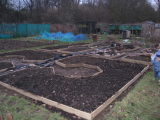 Looking down the plot