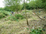 Day 5 - view from rear of plot 