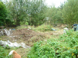 Day 5 - view from front to rear of plot