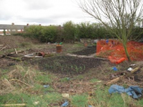 8th March view from back of plot