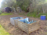 strawberry beds